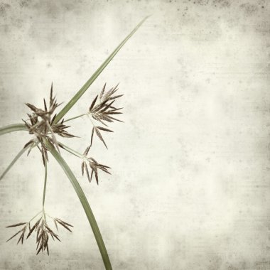 desenli eski kağıt arkaplan  