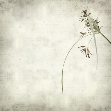 desenli eski kağıt arkaplan  