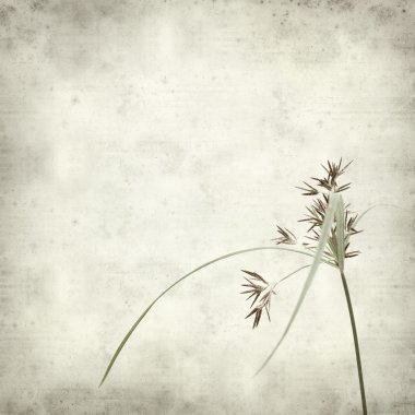 desenli eski kağıt arkaplan  