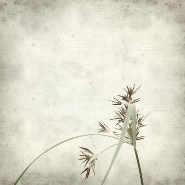 desenli eski kağıt arkaplan  