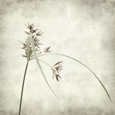 desenli eski kağıt arkaplan  