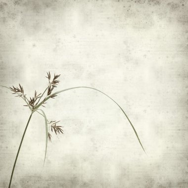 desenli eski kağıt arkaplan  