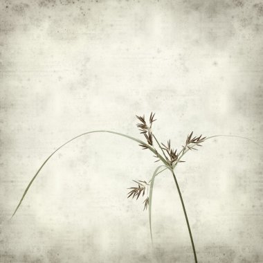 desenli eski kağıt arkaplan  