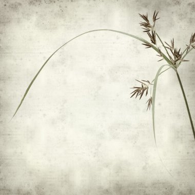 desenli eski kağıt arkaplan  