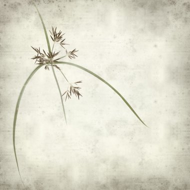 desenli eski kağıt arkaplan  