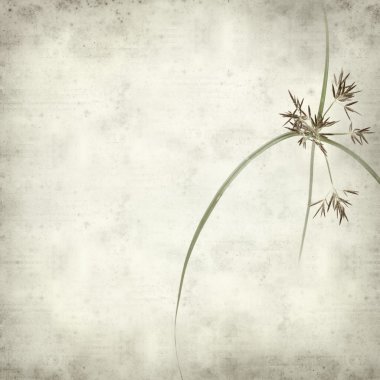 desenli eski kağıt arkaplan  