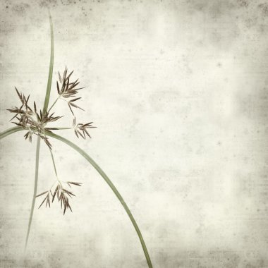 desenli eski kağıt arkaplan  