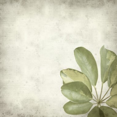 desenli eski kağıt arkaplan  