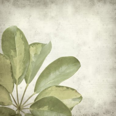 desenli eski kağıt arkaplan  