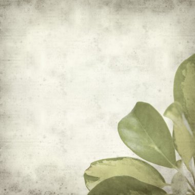 desenli eski kağıt arkaplan  