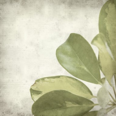 desenli eski kağıt arkaplan  