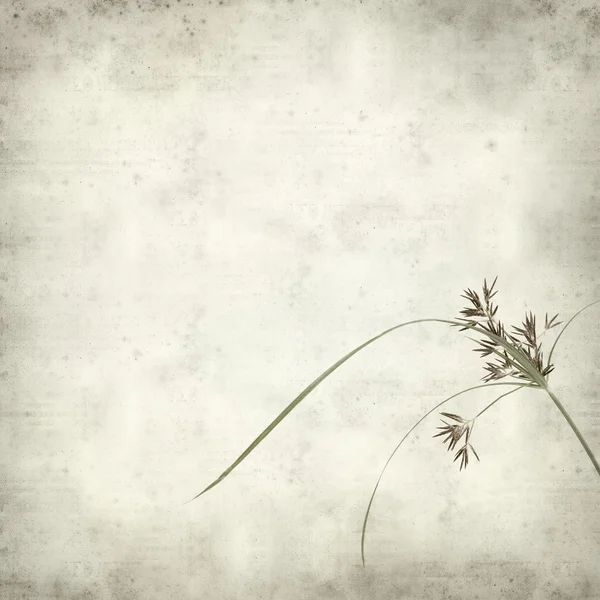 desenli eski kağıt arkaplan  