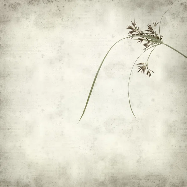 desenli eski kağıt arkaplan  