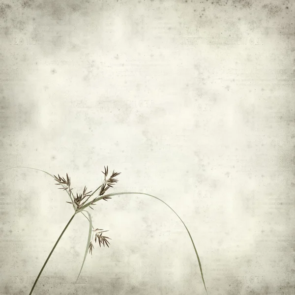 desenli eski kağıt arkaplan  