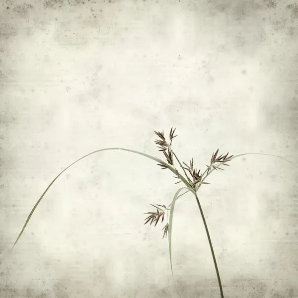 desenli eski kağıt arkaplan  