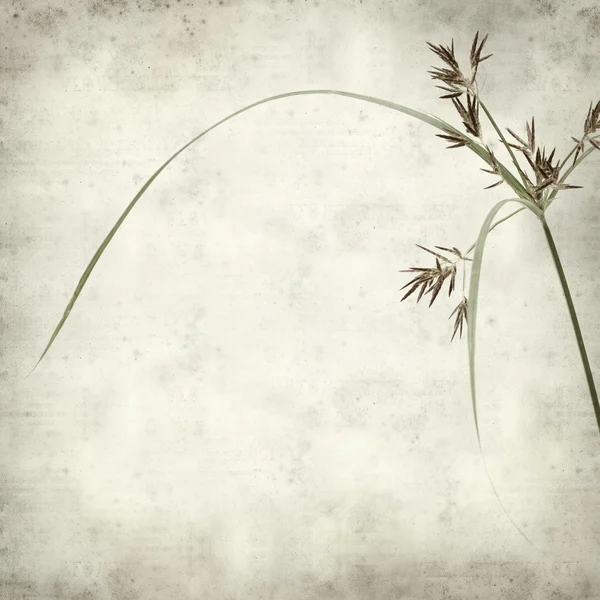 desenli eski kağıt arkaplan  