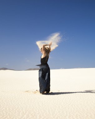 Flamenko dunes içinde