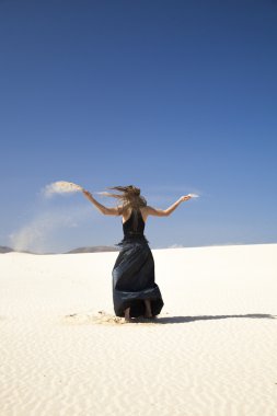 Flamenko dunes içinde