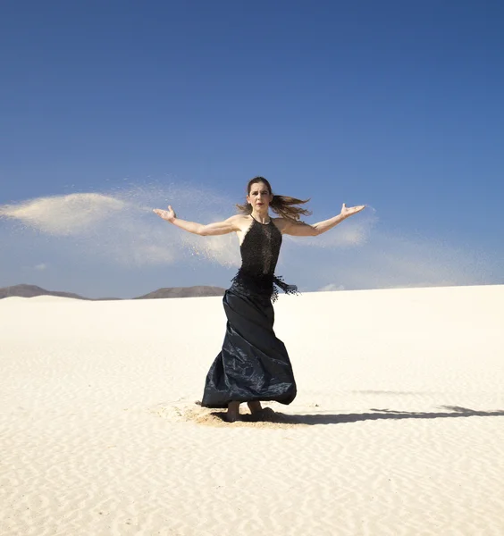 Flamenco tra le dune — Foto Stock