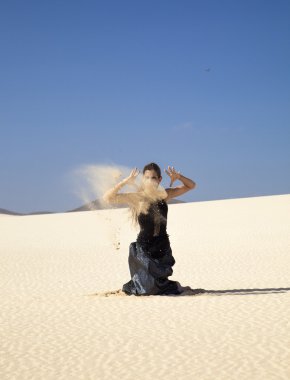 Flamenko dunes içinde