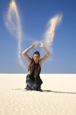 Flamenko dunes içinde