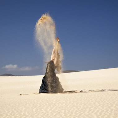 Flamenko dunes içinde