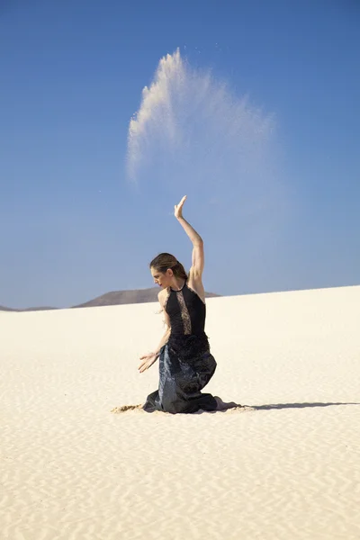 Flamenco w wydmy — Zdjęcie stockowe