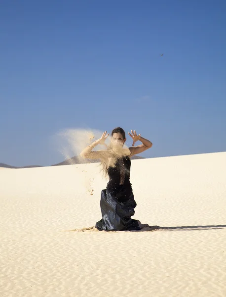 Flamenco dans les dunes — Photo