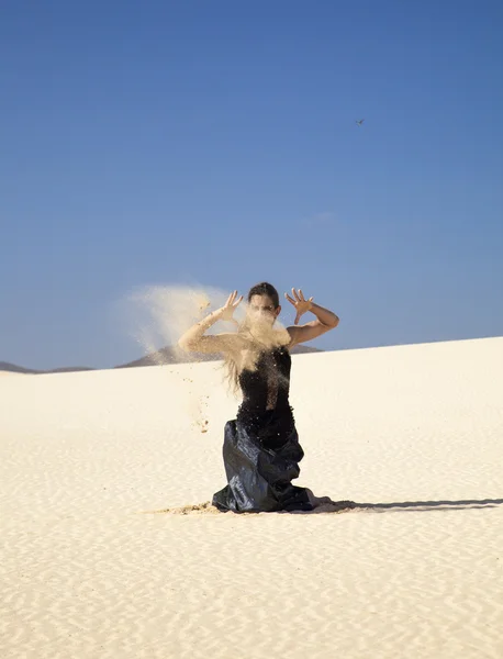 Flamenco en las dunas — Foto de Stock