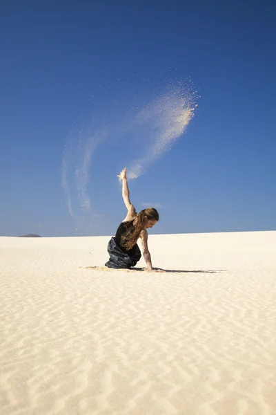Flamenco nas dunas — Fotografia de Stock