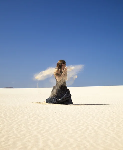 Flamenco in the dunes — Stock Photo, Image