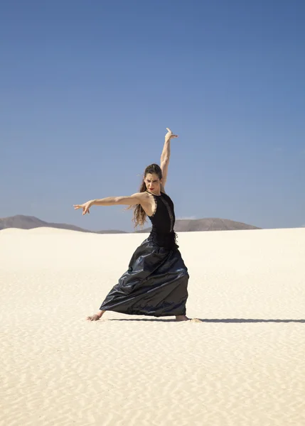 Flamenko dunes içinde — Stok fotoğraf