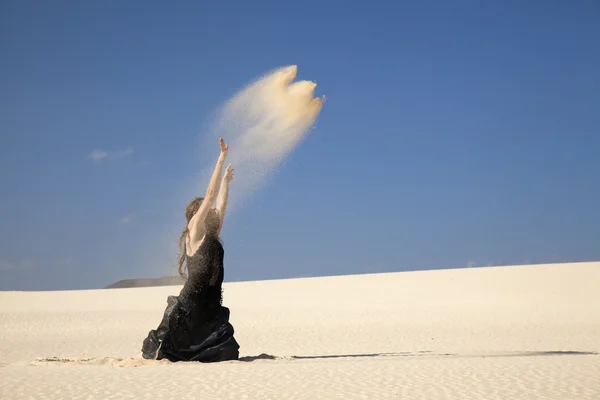 Flamenco en las dunas — Foto de Stock