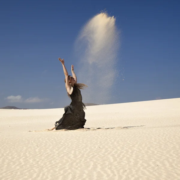 Flamenco w wydmy — Zdjęcie stockowe