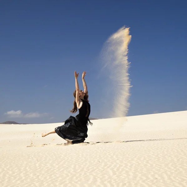 Flamenco w wydmy — Zdjęcie stockowe