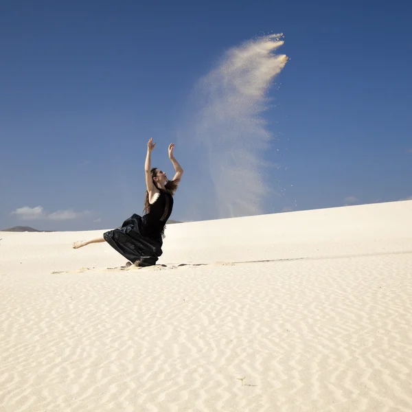 Flamenco en las dunas — Foto de Stock