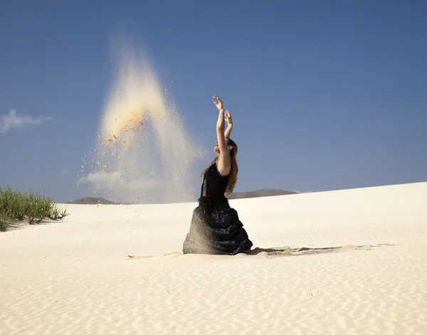 Flamenco in den Dünen — Stockfoto
