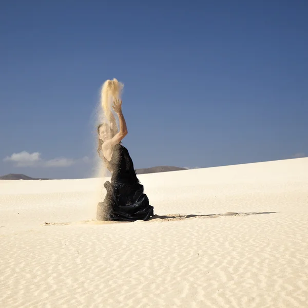 Flamenco dans les dunes — Photo