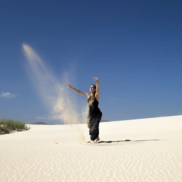 佛兰明高在沙丘 — 图库照片