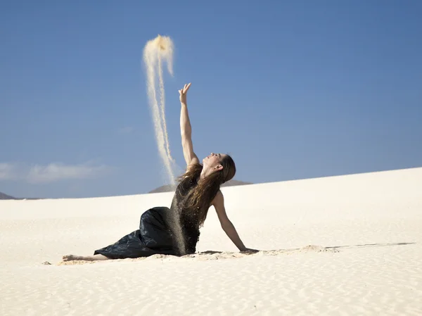 Flamenco en las dunas — Foto de Stock