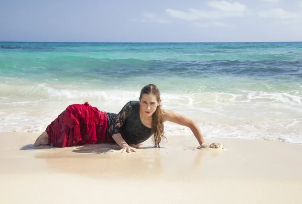 Flamenco and ocean — Stock Photo, Image