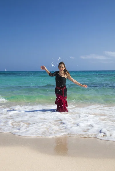 Flamenco y océano — Foto de Stock
