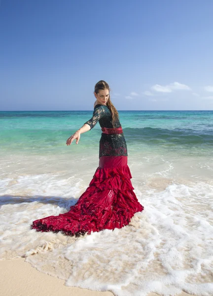 Flamenco and ocean — Stock Photo, Image