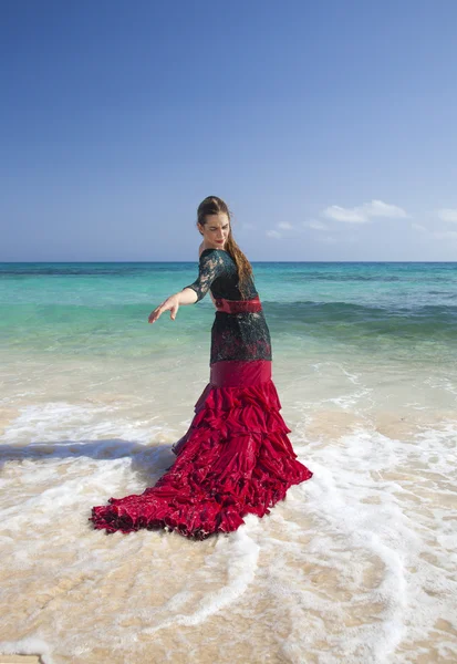 Flamenco and ocean — Stock Photo, Image