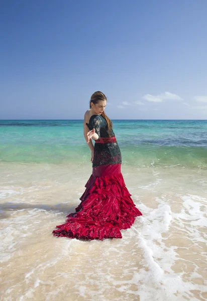 Flamenco and ocean — Stock Photo, Image