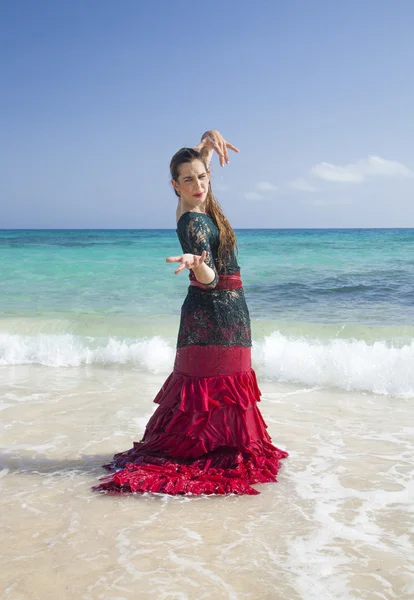 Flamenco and ocean — Stock Photo, Image