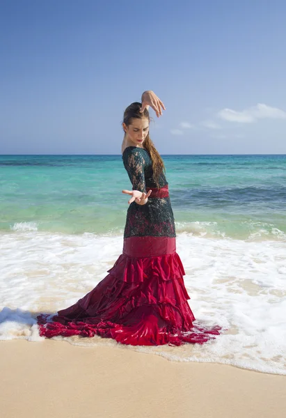 Flamenco and ocean — Stock Photo, Image