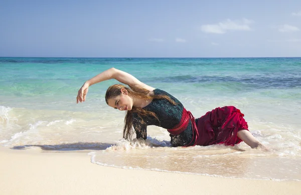 Flamenco und Ozean — Stockfoto