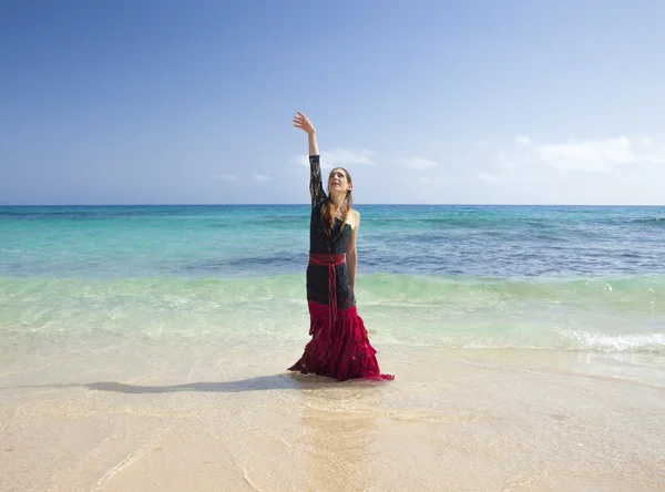 Flamenco and ocean — Stock Photo, Image