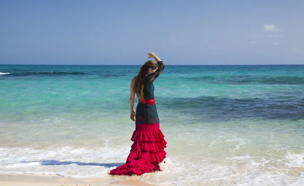 Flamenco and ocean — Stock Photo, Image